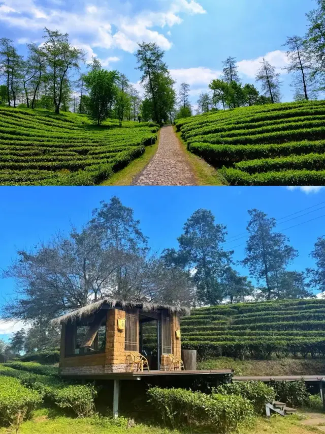 쿤밍-텅충-망시|진짜 온천 휴양지 완벽 가이드, 이제 잘못된 곳 가지 마세요