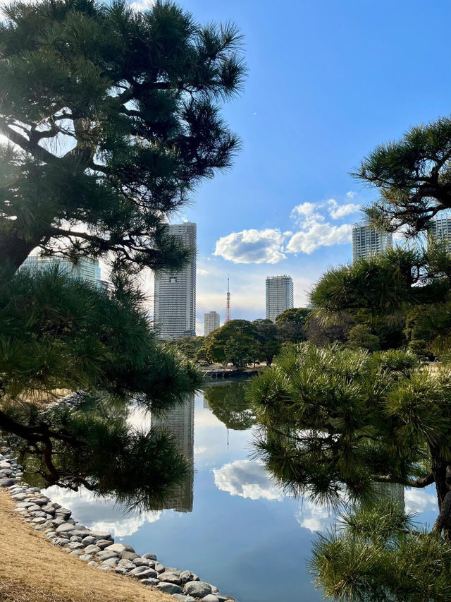 東京市區邂逅油菜花海🌼 浪漫滿分