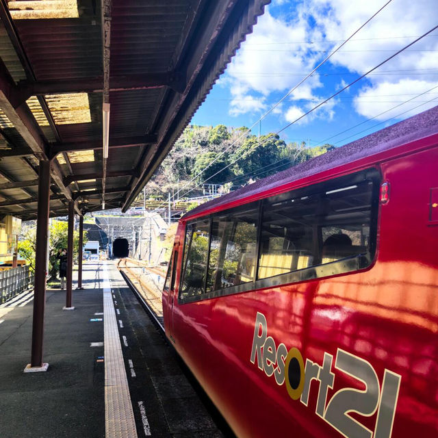 熱海·稻取 ｜ 伊豆觀海列車，邂逅絕美海景🌊