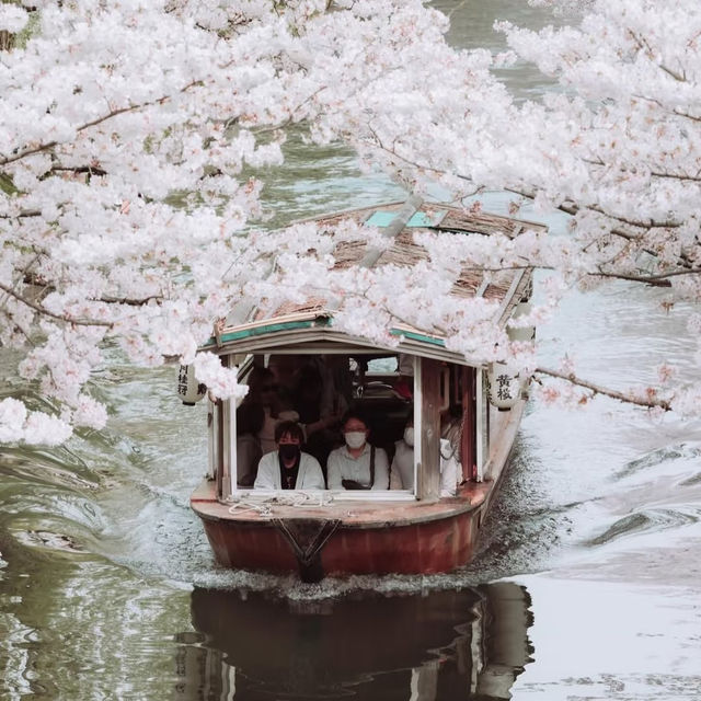 🌸在大阪清水寺，赴一場春日櫻花之約