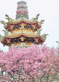 【新北林口竹林山觀音寺】寺廟遊也能超美的！