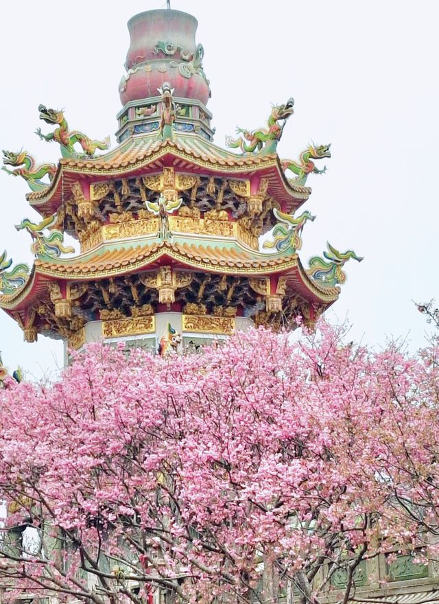 【新北林口竹林山觀音寺】寺廟遊也能超美的！