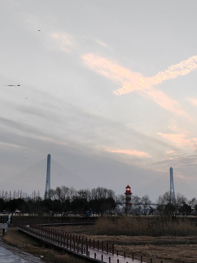 魚嘴濕地公園：邂逅江邊的自然秘境