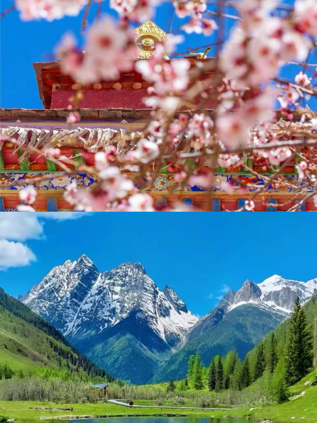 金川已回，說說我的真實感受。