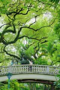 美哭！沒有哪個公園能比它更懂拿捏春和景明了