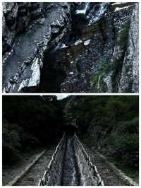 六盤山國家森林公園樹木茂盛天然氧吧呼吸清爽快來
