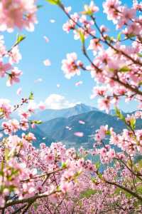 江西九江賞桃花攻略：邂逅江南絕美春日花海