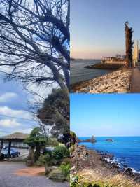 莞島綺夢行 | 韓國海濱的悠然之章