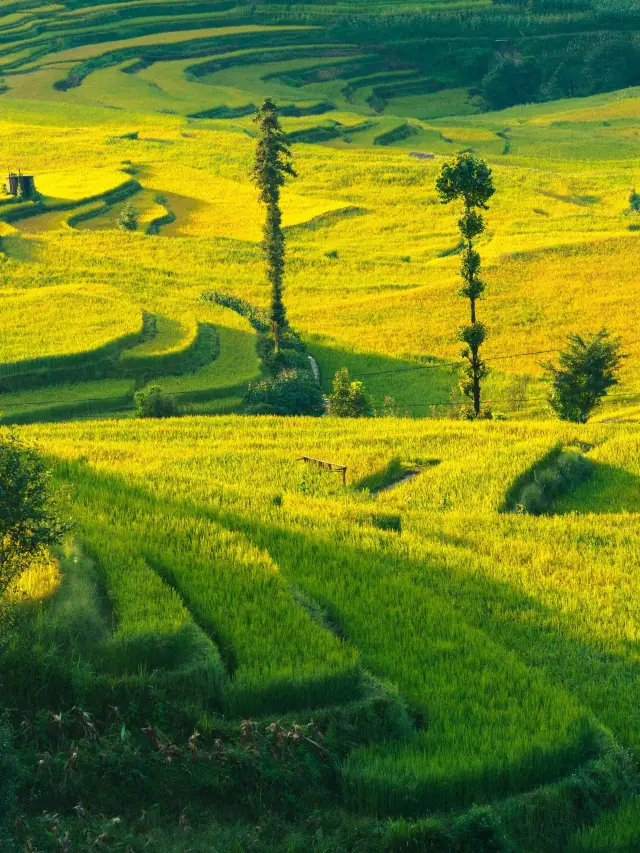 Yuanyang-Jianshui-Mengzi Travel Guide for Seniors: A Relaxing and Unique Experience