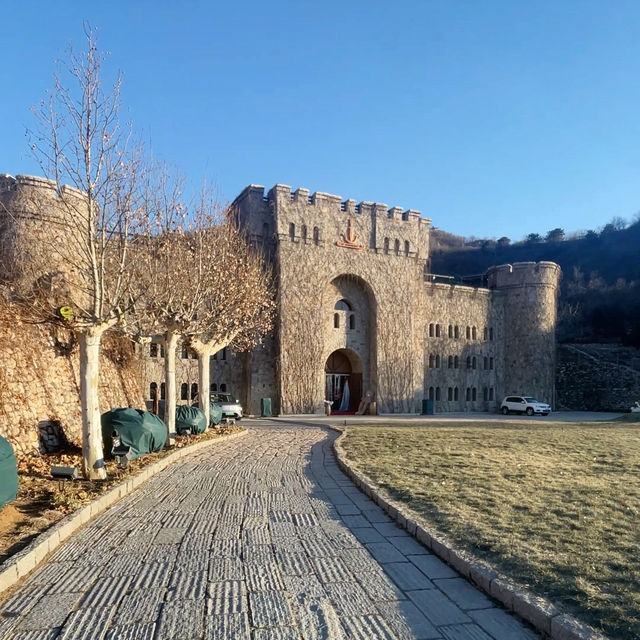 CASTLE IN THE HILLS! 