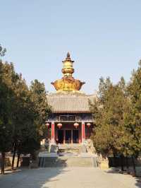 洞林寺