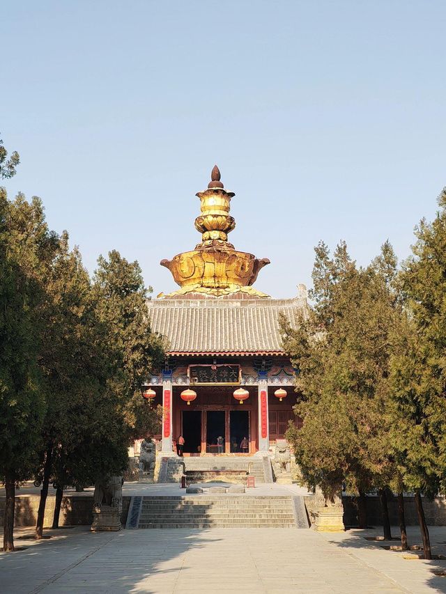 洞林寺