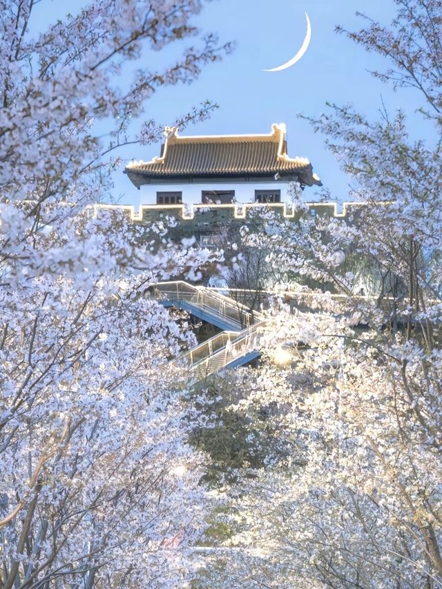接下來的南京，是一萬次的春和景明