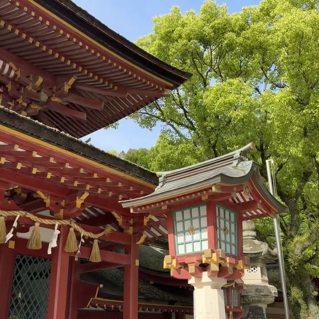 現實版動漫場景！福岡太宰府天滿宮 