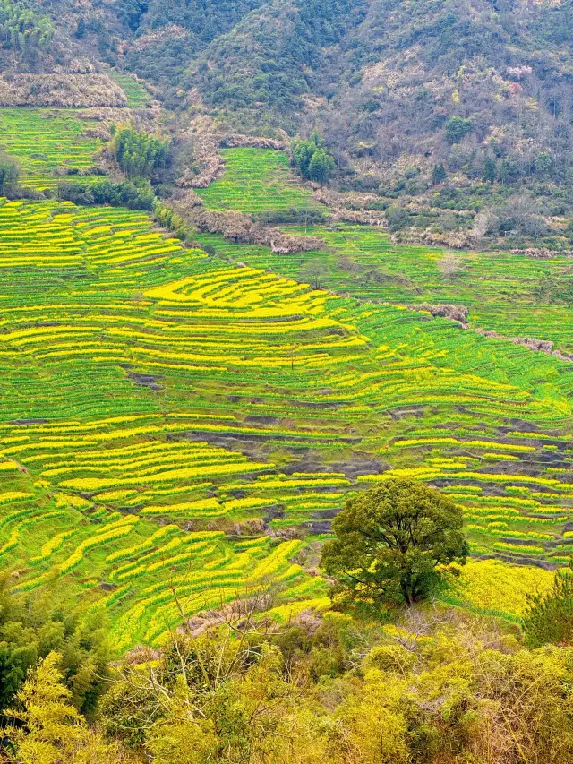 2-Day Getaway: The Ultimate Guide to Shangrao's Hottest Attractions