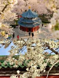 2025北京天壇公園最新保姆級攻略，拒絕踩坑