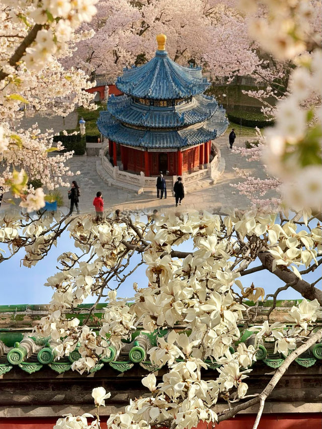 2025北京天壇公園最新保姆級攻略，拒絕踩坑