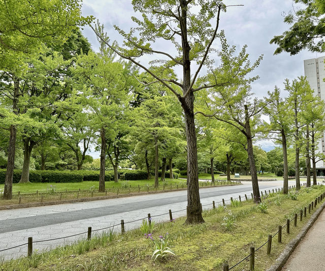 這裏是連日本當地人都鮮為人知的賞櫻秘境，它就藏在堺市大仙公園！