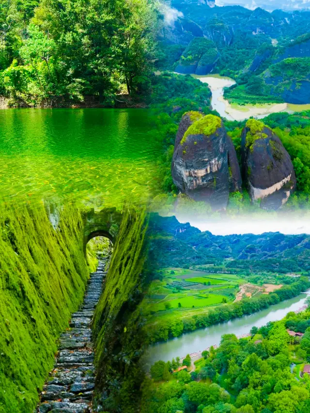 A Complete 2-Day Wuyi Mountain Travel Guide for Just RMB 600 Per Person