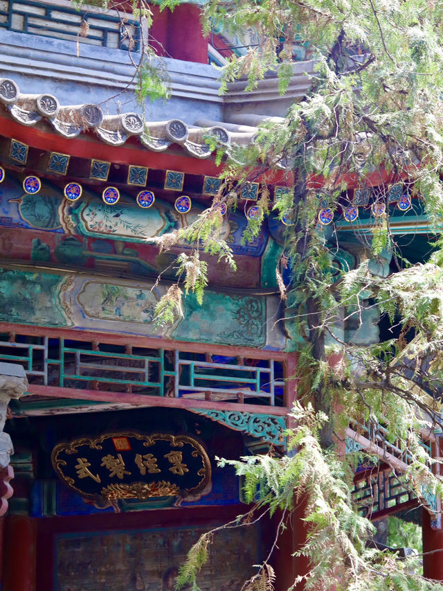 📍 北京頤和園 | 一步一景，皇家的山水畫卷