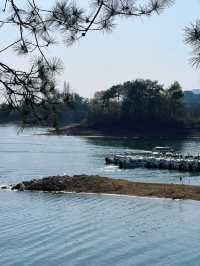 千島湖避雷指南｜被商業化掏空的錢包