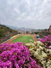 成都往返攀枝花週末兩日遊攻略