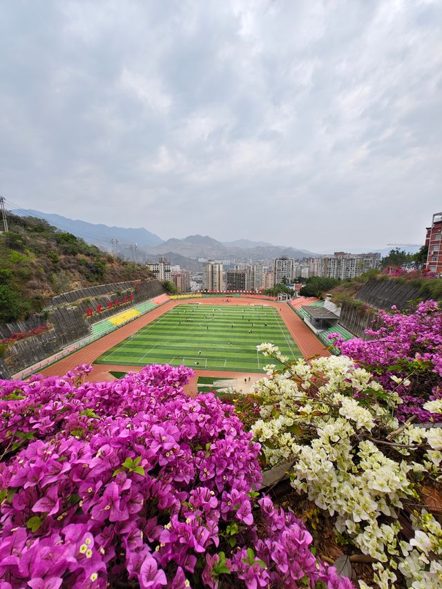 成都往返攀枝花週末兩日遊攻略
