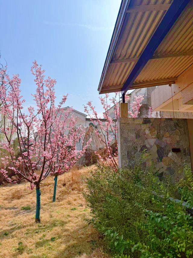 合肥廬江周邊旅遊地圖這間酒店不能錯過