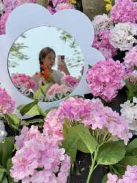 🌷珠海隱藏寶地 | 假花叢中的真小鹿奇遇✨
