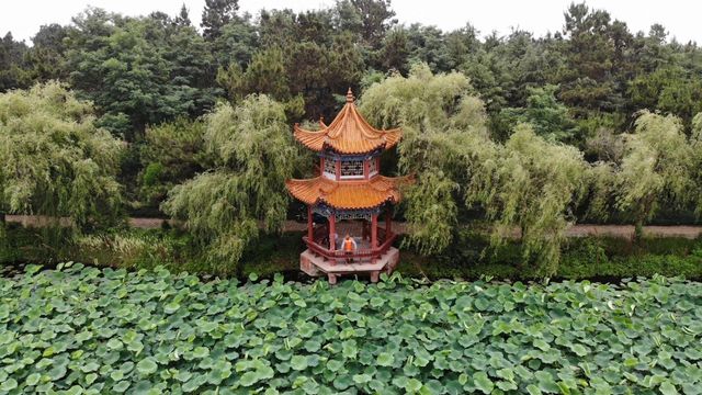 自駕蘇魯（21）海濱國家森林公園