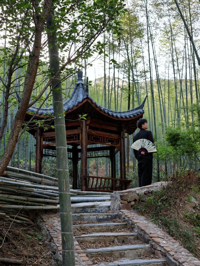 以為臨平公園夠美了！直到去了湖州杜鵑花海