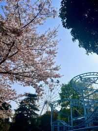 南京已回這樣玩才能不花冤枉錢
