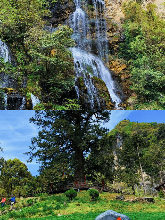 神農架1天怎麼玩？看這篇就夠啦
