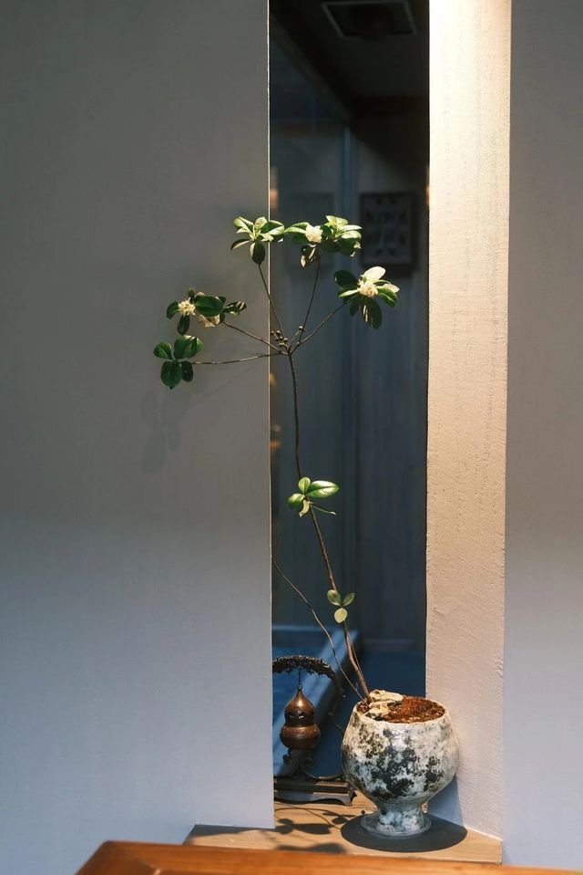紹興寶藏餐廳分享 簷下煙火.綠意成詩 青磚黛瓦在暮色裡暈開水墨 我推開雕花木門的剎那 驚起一院草木的