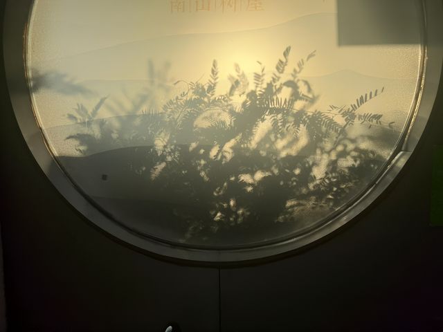 三亞避世天花板！枕浪聽潮的南山樹屋，值回票價的治癒之旅