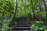屯溪稽靈山：黃山市區不多見的原生態公園，森呼吸的絕佳去處！