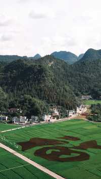 峰林為幕·稻浪為席——萬峰林田園生活真的很美