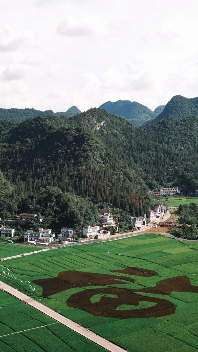 峰林為幕·稻浪為席——萬峰林田園生活真的很美