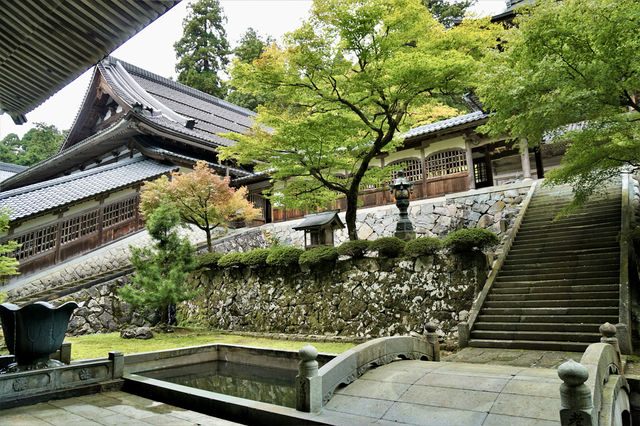 日本•福井縣｜永平寺