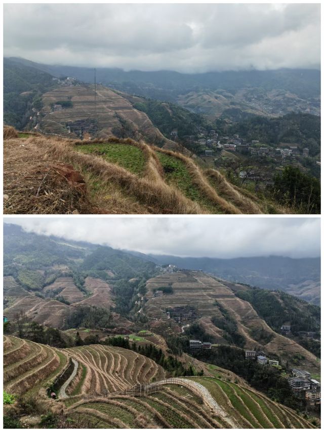 桂之旅丨龍勝龍脊梯田a