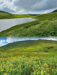 五月等我哋奔向昆明嘅「雲端花海牧場」