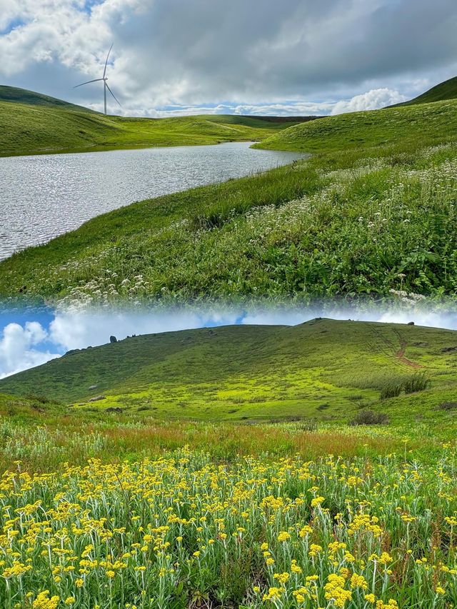 五月等我哋奔向昆明嘅「雲端花海牧場」