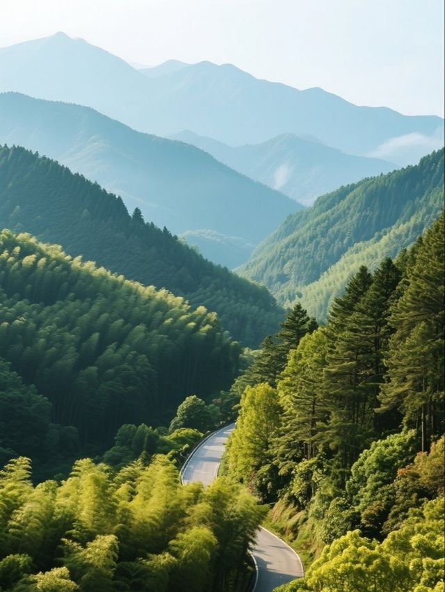 紅色聖地與綠色奇觀：2025井岡山深度旅遊全攻略