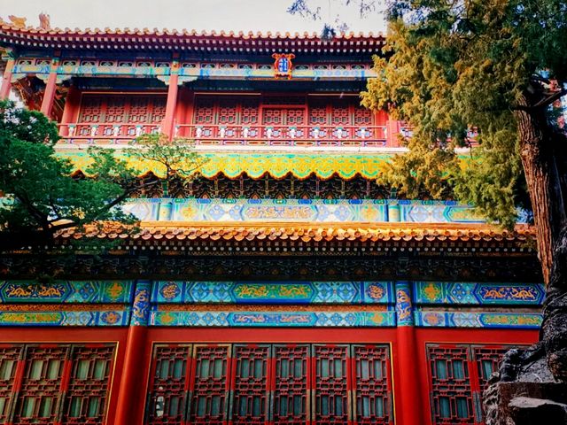 Beijing's Hidden Wonders: A Journey Beyond the Guidebooks