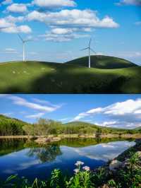 北京周邊3小時直達雲中草原，開啟夏日新玩法