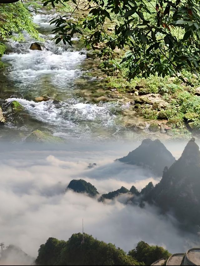 剛從張家界返嚟，真係唔建議6-8月去
