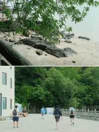 去有風的海島 包船捞蟹！揭秘寧波冷門海島