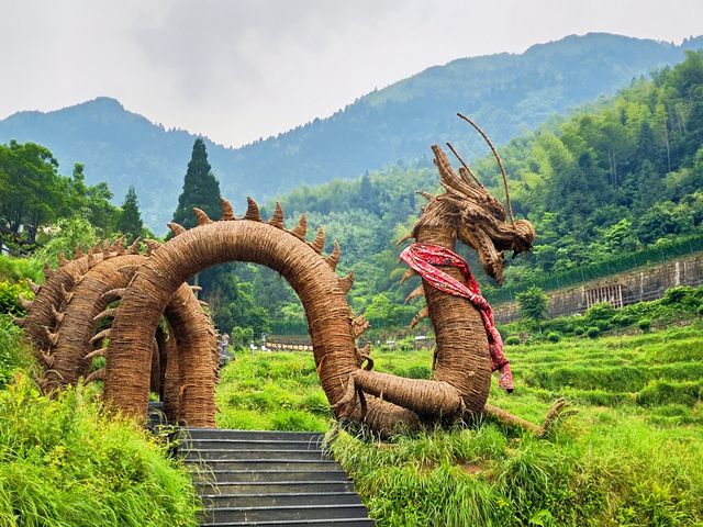 麗水懶人遊