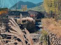 YAZA野在山川酒店