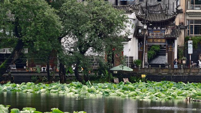 夏日消暑 | 騰沖和順古鎮蒲密荷畔山舍客棧
